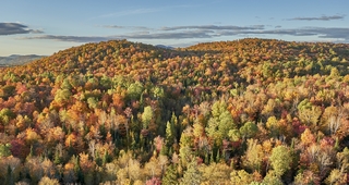 Mont-tremblant    |   26  /  27    |